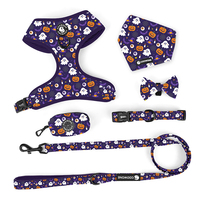 Harnais pour chien en néoprène de marque privée pince grenouille laisse pour chien collier de chien réglable de luxe laisse fournitures essentielles pour animaux de compagnie