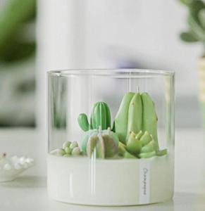 Vela <span class=keywords><strong>de</strong></span> Cera <span class=keywords><strong>de</strong></span> Soja con Aroma a Cactus y Plantas Suculentas, Maceta Decorativa Creativa para Festivales, Adorno Festivo con Fragancia para Dormitorio - Product Image 3