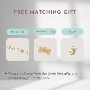 Step In Pet Harnais pour chiot à carreaux bleus personnalisé, garçon de créateur avec nom, harnais pour chien de mariage - Product Image 3