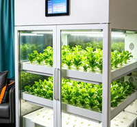 Système d'armoire de culture hydroponique intelligente pour la maison, l'école, la recherche en agriculture verticale, cultivateur de semis