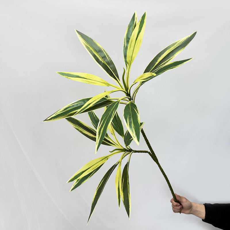 Yellow edge and green