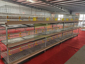 GREAT FARM Gabbia Commerciale per Polli da Carne a 3 Livelli, 6 Porte, Resistente, Zincata a Freddo, Attrezzatura Avicola per 54-60 Polli - Product Image 5