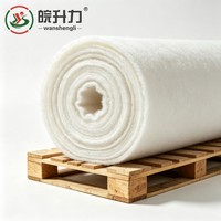 Géotextile en filament de polyester WSL pour le renforcement des chaussées routières et la stabilisation des sols, pour autoroutes et voies ferrées