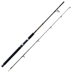 Canne da Pesca in Fibra di Vetro a 2 Sezioni da 1,95m con Impugnatura in EVA per Pesca in Acqua Dolce in Laghi, Torrenti e Fiumi - Product Image 1