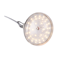 15W Dragon Fruit Gloeilamp Led Grow Led Kweeklampen Voor Kamerplanten
