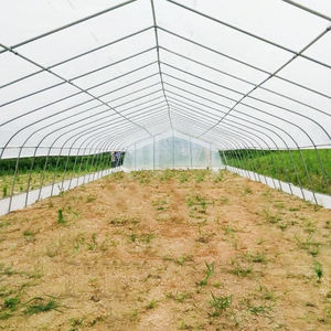 Invernadero Arqueado para Cultivo <span class=keywords><strong>de</strong></span> Vegetales al Aire Libre, Invernadero Agrícola Pequeño <span class=keywords><strong>de</strong></span> un Solo Tramo, Invernaderos Comerciales para Cultivo - Product Image 5