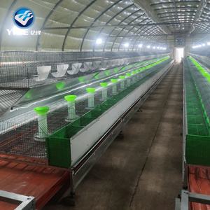 Büyük kapasiteli yumurta için pil kafesleri katmanları ticari tavşan kafesleri için ücretsiz kargo - Product Image 3