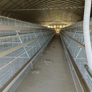 Fornitura Diretta dalla Fabbrica: Gabbie a Batteria per Galline Ovaiole al Miglior Prezzo, Pollaio Zincato con 5 Anni di Garanzia - Product Image 3