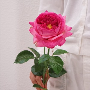 <span class=keywords><strong>Rose</strong></span> <span class=keywords><strong>artificielle</strong></span> Juliette à toucher réel, 7 têtes, en soie, pour mariage, décoration intérieure, photographie, centre de table, arrangement - Product Image 3