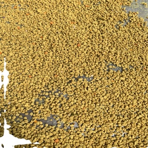 Poudre de <span class=keywords><strong>pollen</strong></span> <span class=keywords><strong>d</strong></span>'<span class=keywords><strong>abeille</strong></span> 100% pure de haute qualité, naturelle, en vrac, 20 kg/carton, durée de conservation de 2 ans - Product Image 1