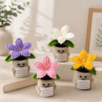 Pot de fleurs en crochet fait main en gros, pot de fleurs en fil tricoté, plante artificielle, décoration de bureau, porte-cartes mignon, poupée, cadeau, décoration intérieure