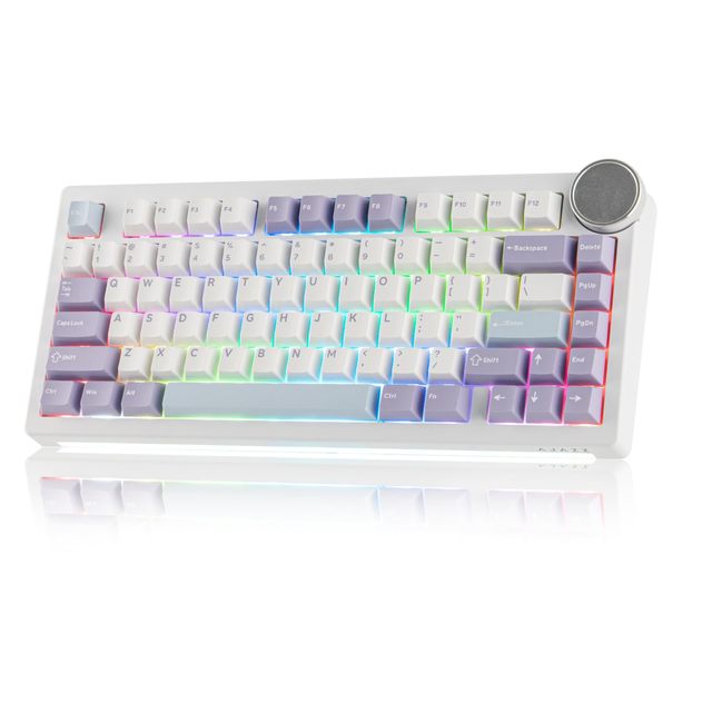 OEM ODM AK820 V2 TriMode Mechanical Gaming Keyboard Big Knob 24GhzBT Wireless HotSwap PBT Keycap 5Layered Gasket Thocky Switch 7