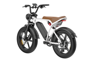 Bicicleta Eléctrica Urbana con Llantas Gruesas de 20 Pulgadas, 750W, 48V, 15AH, 45KM/H, Frenos de Disco Dobles, Acero al Carbono, RX-T3, Potente Motor de 750W con 45 H - Product Image 3