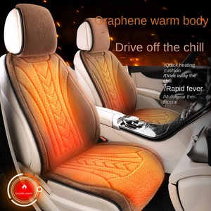 HONGLILAII 2025 Cojín de Asiento Calefactable Universal 12V/24V, Tela de Gamuza, Grafeno, Temperatura Constante para Invierno, USB para Auto, 5 Piezas C-F-04 # - Product Image 2