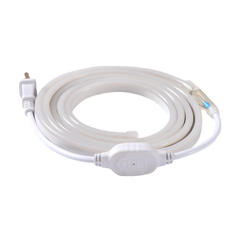 OEM ODM High Quality Single Color Neon Led Strip Light Waterproof 12V 24V 5m/10m