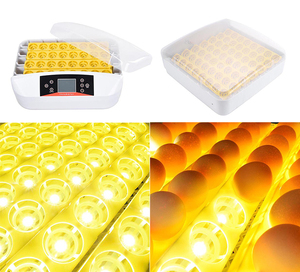 Vente d'usine WONEGG, mini incubateur d'œufs <span class=keywords><strong>de</strong></span> poulet, <span class=keywords><strong>de</strong></span> caille et <span class=keywords><strong>de</strong></span> <span class=keywords><strong>perroquet</strong></span>, incubateur automatique pour 50 œufs - Product Image 3