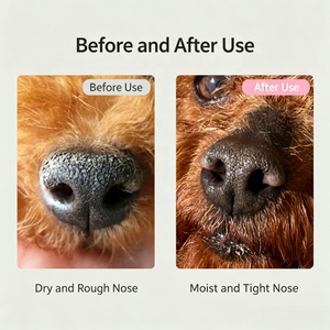 Crème de soin du nez pour animaux de compagnie USMILEPET ODM OEM pour chats et chiens, baume hydratant réparateur pour nez sec et gercé, crème réparatrice anti-fissures pour le nez des animaux - Product Image 3