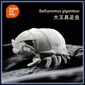 Peluche réaliste Bathynomus Giganteus, jouet en peluche isopode géant des profondeurs marines, créature marine mignonne, jouet doux, cadeau - Product Image 3