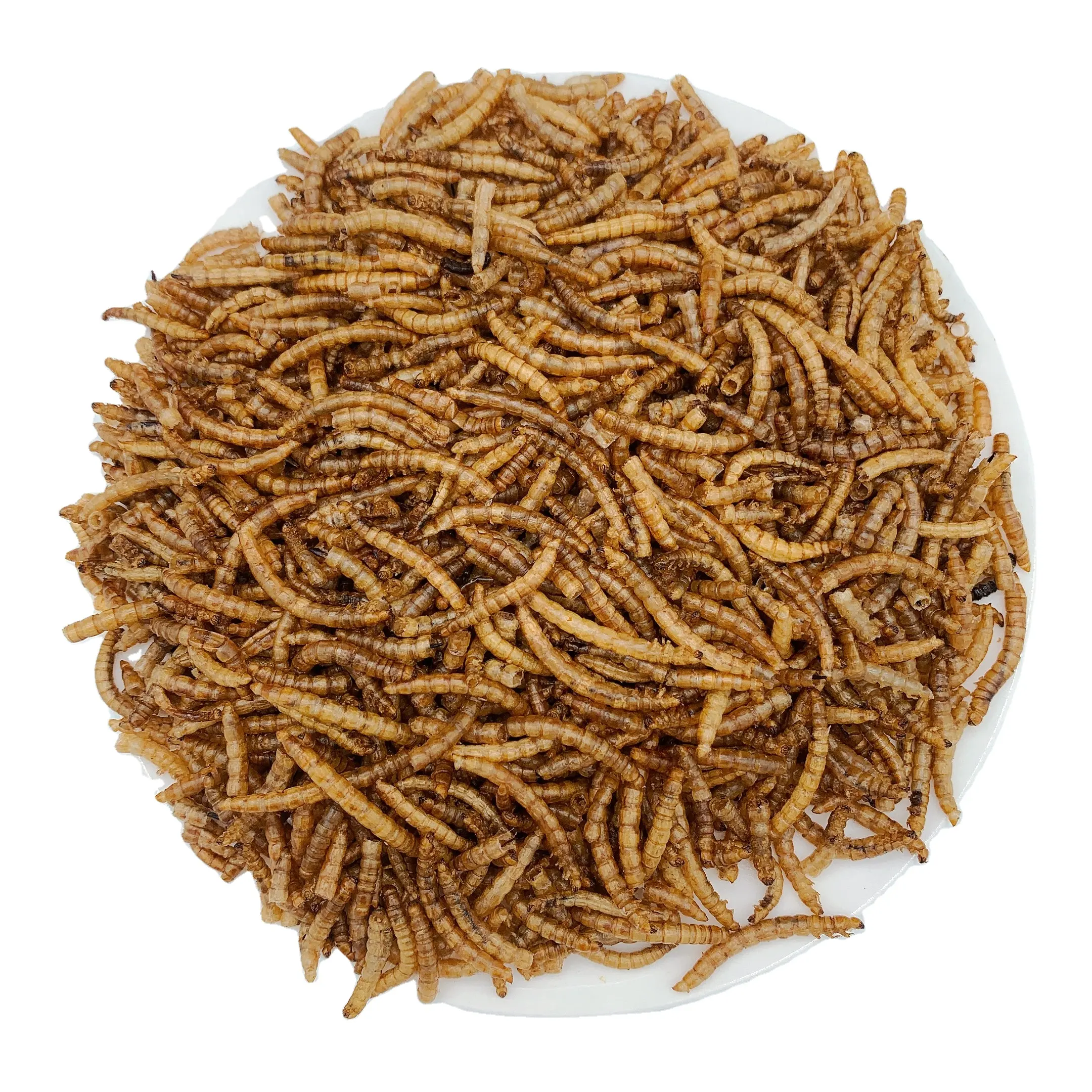 Fábrica Direta Larvas De Alta Proteína Rica Nutrição Insetos Comestíveis Secas Mealworm Birds Food Anfíbios Isca Aquática Atacado