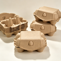 Biodegradable Paper Pulp 6 Cell Moisture Resistant Stackable Eco Friendly Packaging Wholesale Egg Tray