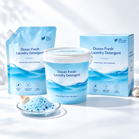 Lessive en poudre concentrée écologique Lavande Citron Nettoyage en profondeur Faible mousse OEM/ODM Marque privée Emballage personnalisé