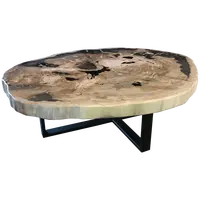 자연 석화 나무 식탁 석화 나무 테이블 장식