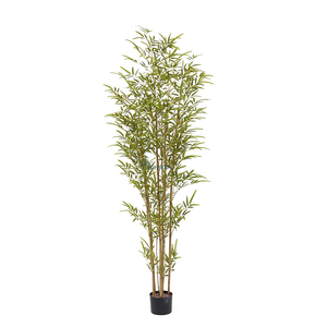 Vente en Gros 180cm Intérieur En Plastique <span class=keywords><strong>Bambou</strong></span> Bonsaï Arbre Naturel <span class=keywords><strong>Artificiel</strong></span> Palmier Bonsaï Plantes - Product Image 4