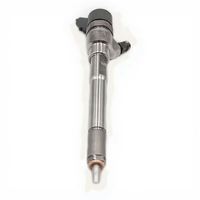 0445110317/ 0 445 110 317 Diesel Fuel Injector Common Rail Injection Nozzle Assembly Reliable Replacement 0445110482
