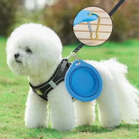 Bol pliable en silicone OEM/ODM pour animaux de compagnie, compatible lave-vaisselle, qualité alimentaire, portable, pour voyage, nourriture et eau