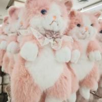 Nouvelle Peluche Chat Réaliste Qui Moaie, Sac de Transport Chat Ragdoll, Poupée en Peluche Réconfortante, Cadeau pour Toutes Occasions, Sac de Transport Animal en Peluche
