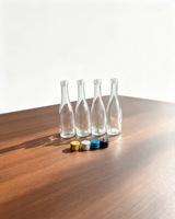 Bouteille à liqueur en verre élégante et fine, petite bouteille en verre transparent, 50 ml, 100 ml, bouchon en métal coloré pour gin, vodka