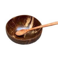Bols à smoothie et salade classiques en coque de noix de coco jetables, écologiques et de haute qualité, pour la décoration de cuisine de camping et les cadeaux végétaliens