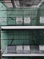 Cages à oiseaux chinoises Excel, cages hautes pour oiseaux, cages d'élevage pour canaris, grandes cages en métal