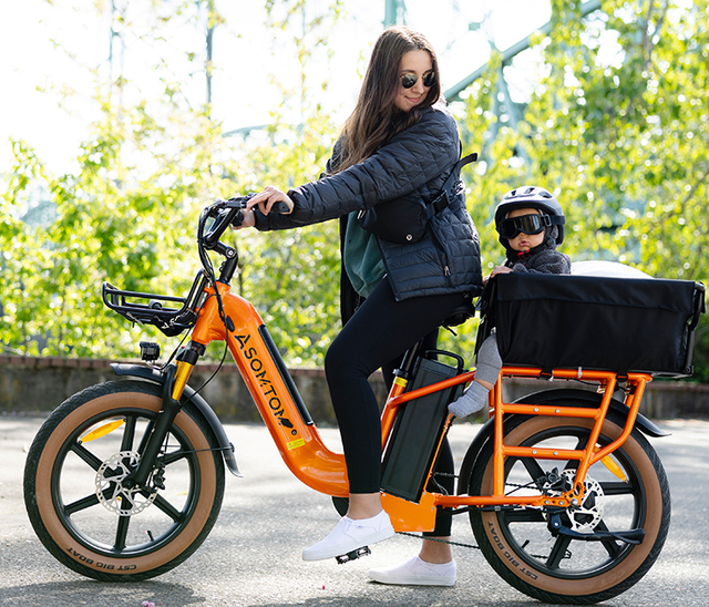 Electric Cargo Bike CE Certification 48V 30Ah Lithium Battery 750W Aluminum Alloy Disc Brake Foldable Electronic Rear Hub Motor