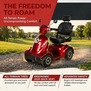 <span class=keywords><strong>Scooter</strong></span> électrique pliable 800W à 4 roues, longue portée, vitesse réglable, véhicule de voyage <span class=keywords><strong>pour</strong></span> personnes âgées et handicapées avec panier - Product Image 2