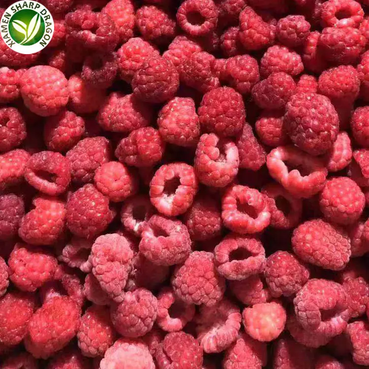 Frozen IQF Bulk Organic Raspberries Best Delish Fresh Black Red Seedless Raspberry Sweetened Freezing Fruits Wholesale Prices