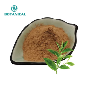Растворимый органический растворимый экстракт зеленого чая порошок натуральный экстракт зеленого чая 98% 50% Epigallocatechin-3-Gallateb Egcg - Product Image 1