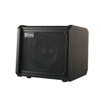 Amplificateur de basse COOLMUSIC TS40 40W avec haut-parleur de 6,5 pouces, Bluetooth, enregistrement OTG, casque, égaliseur 3 bandes, compression, AUX