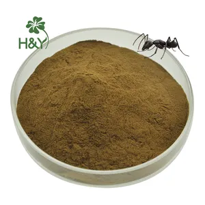 Polyrhachis 개미 추출물 블랙 개미 분말 블랙 개미 추출물 50:1