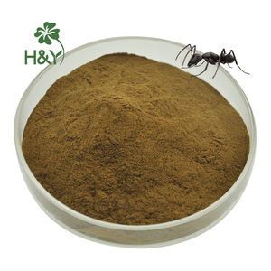 Polyrhachis 개미 추출물 블랙 개미 분말 블랙 개미 추출물 50:1 - Product Image 1