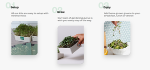 Accessori <span class=keywords><strong>per</strong></span> piante giardinaggio del suolo dischi <span class=keywords><strong>per</strong></span> terreno compresso vasi <span class=keywords><strong>in</strong></span> fibra di cocco invasatura mix di terreno <span class=keywords><strong>per</strong></span> verdure - Product Image 3