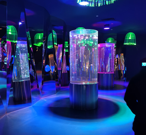 <span class=keywords><strong>Tunnel</strong></span> <span class=keywords><strong>sous</strong></span>-<span class=keywords><strong>marin</strong></span> acrylique personnalisé Prima, <span class=keywords><strong>tunnel</strong></span> <span class=keywords><strong>sous</strong></span>-<span class=keywords><strong>marin</strong></span> de piscine avec verre acrylique - Product Image 5