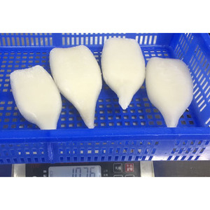 Taiseng Calamari Giganti Congelati IQF U3 U5 U10 Tubi di Calamaro Prezzo all'Ingrosso - Product Image 1