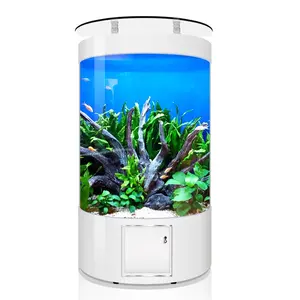 Bán Nóng Cổ Điển Lớn Acrylic Nửa Vòng Aquarium Fish Tank