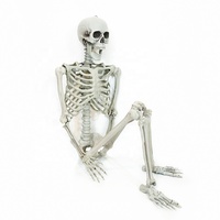 Accessoires de maison hantée pleine grandeur 5 pieds décorations d'Halloween en plastique grandeur nature squelette à vendre