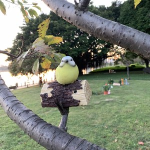 Figura de Resina Realista de Pájaro Robinsimulado en Tronco de Árbol, Forma de Animal Biónico para Decoración de Mesa del Hogar - Product Image 2