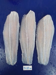 Đông lạnh Cá Tra fillet swai fillet Basa fillet Hot Bán tại thị trường - Product Image 3