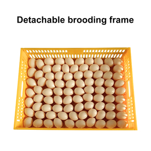 Panier de transport pour <span class=keywords><strong>cage</strong></span> à poulets, cadre d'éclosion et de couvaison pour poussins - Product Image 2