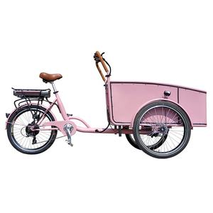 Tricycle pour bébé à chargement frontal, moteur 250w, vélo <span class=keywords><strong>cargo</strong></span> électrique avec housse de pluie <span class=keywords><strong>en</strong></span> vente flash - Product Image 5