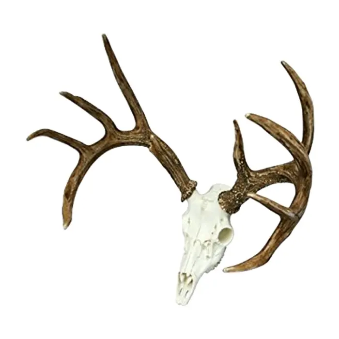 가짜 유럽 Whitetail 사슴 Antlers 해골 10 포인트 사슴 해골 수집품 장식